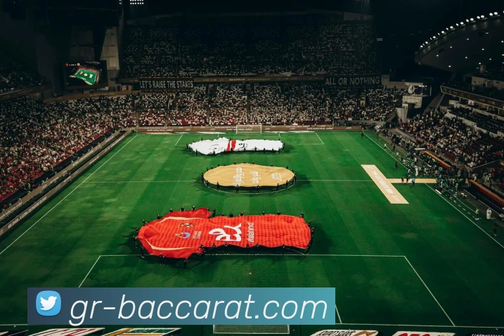 百家乐官网平台生态图